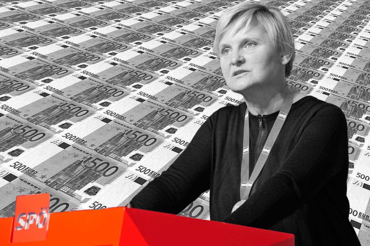 313 Millionen Euro - Sandra -Frauenberger -Foto Johannes Zinner