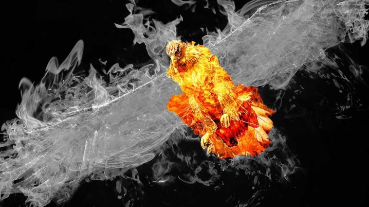 Operation Phoenix - skylarvision Pixabay